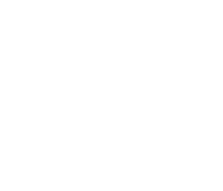 Juice Master