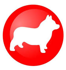 Corgi