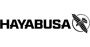 Hayabusa Fight