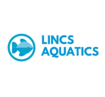 Lincs Aquatics