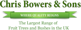 Chris Bowers & Sons