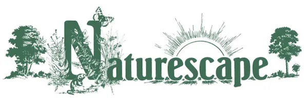 Naturescape