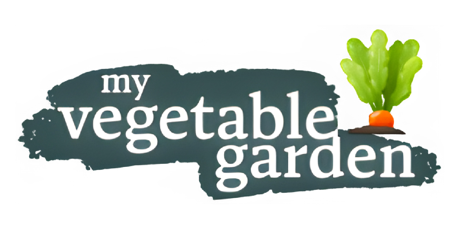 My Vegetable Garden