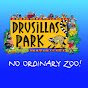 Drusillas