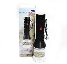 WWScenics
