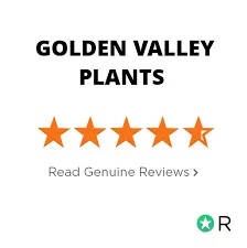 Golden Valley Plants