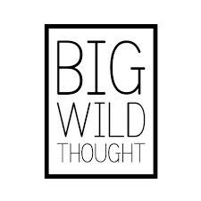 Big Wild Thought