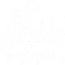 Tinyexplorers