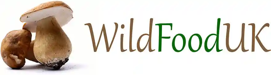 Wild Food UK Coupon Codes for April 2026