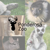 Ponderosa Zoo