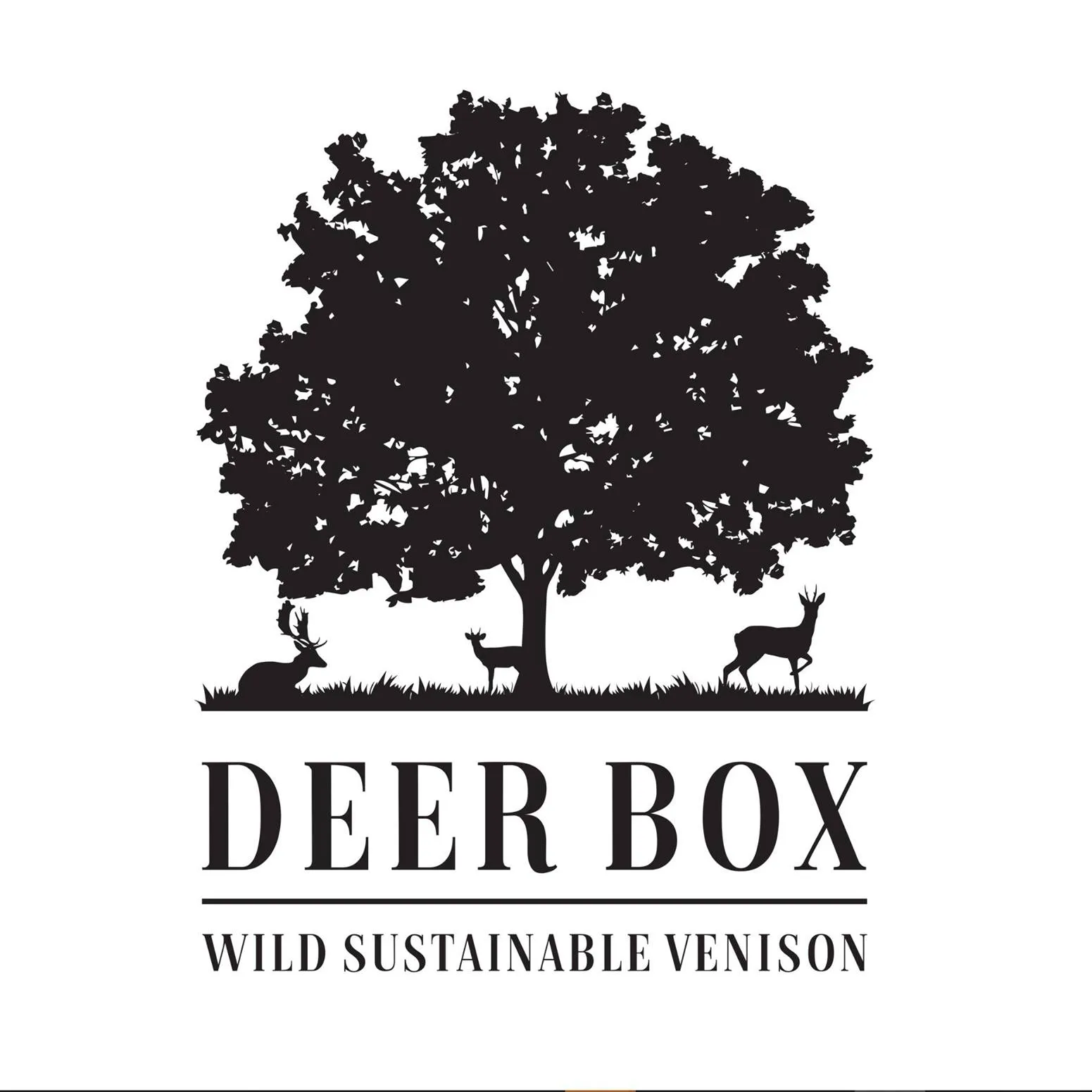 Deer Box