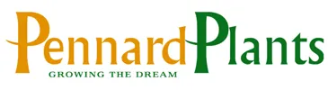 Pennard Plants
