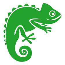 Internet Reptile