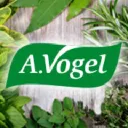 A.Vogel
