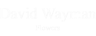 David Wayman