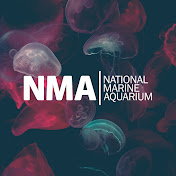 The National Marine Aquarium
