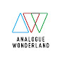 Analogue Wonderland