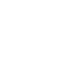 Barbarossa Brothers