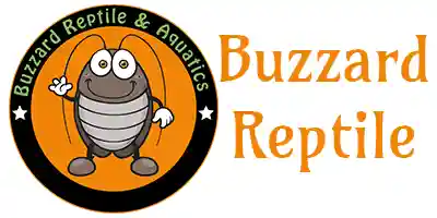 Buzzard Reptile