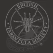 The Spider Shop