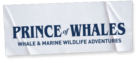 Prince Of Whales