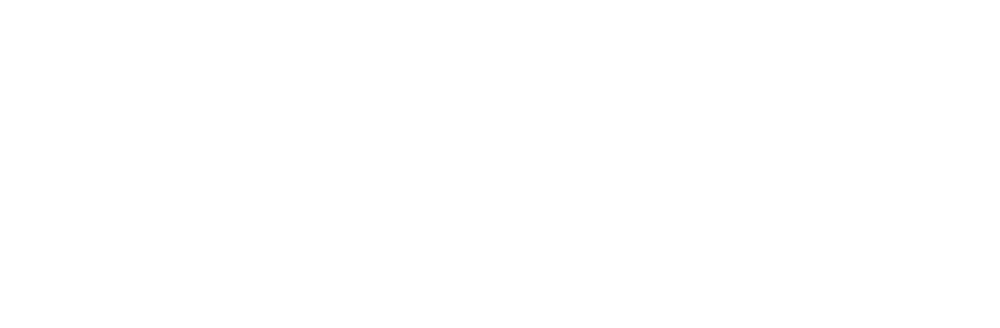 Bongo's Bingo