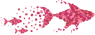 Pink Fishes